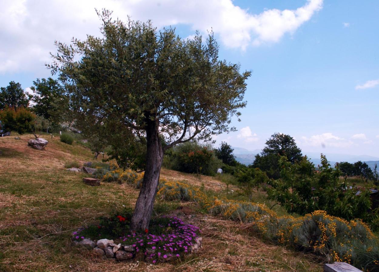 B&B La Montagna Rosa Castelnuovo  Buitenkant foto