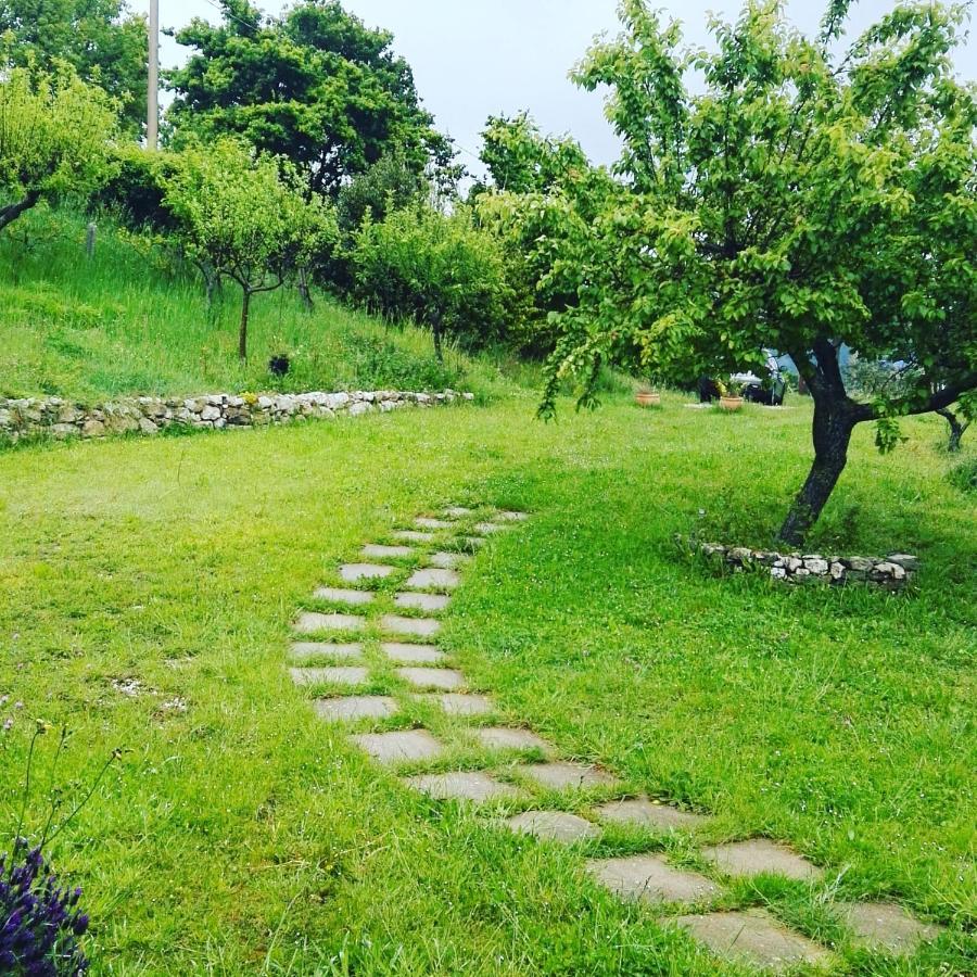 B&B La Montagna Rosa Castelnuovo  Buitenkant foto