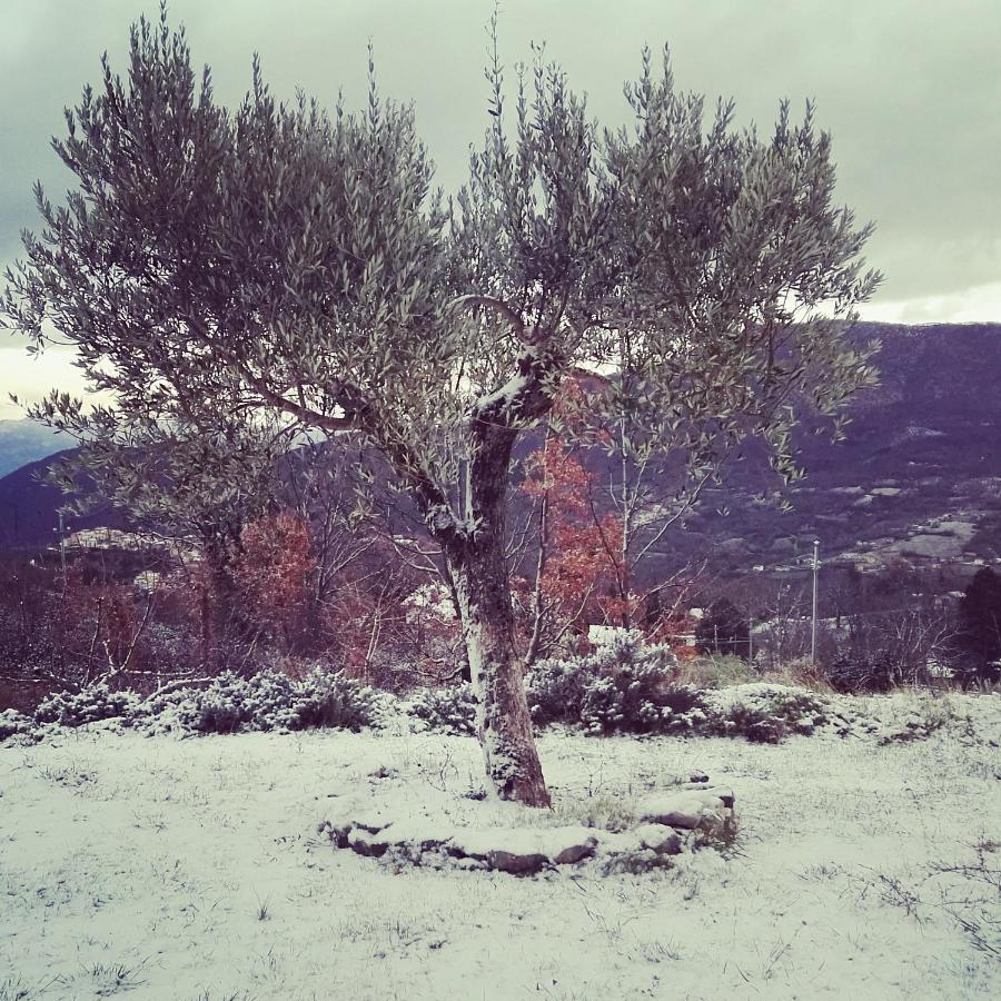 B&B La Montagna Rosa Castelnuovo  Buitenkant foto